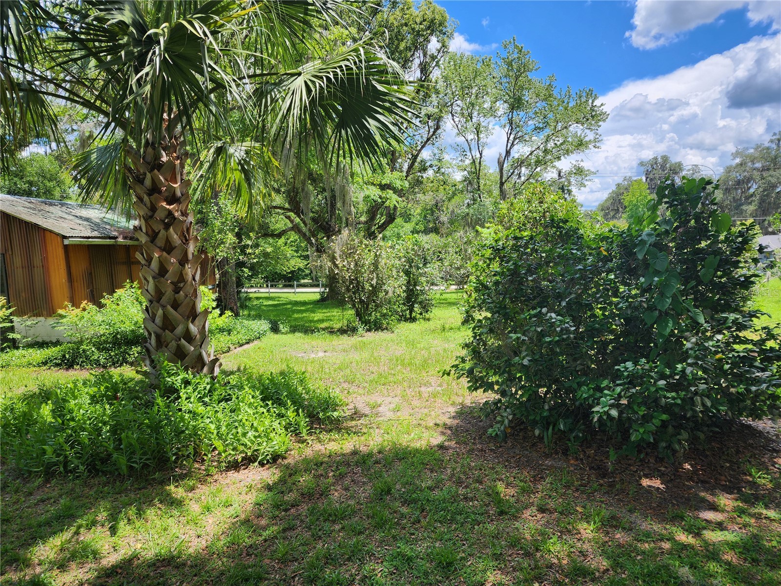 1427 NE 10th Street Ocala FL 34470 OM723436 image39