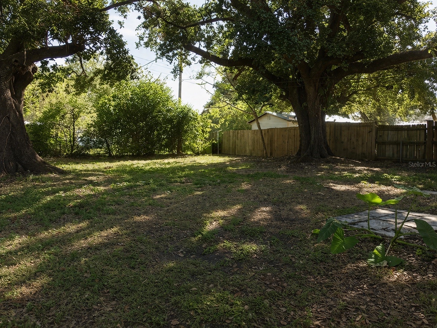 1427 Pleasant Place Lakeland FL 33801 TB8501958 image12