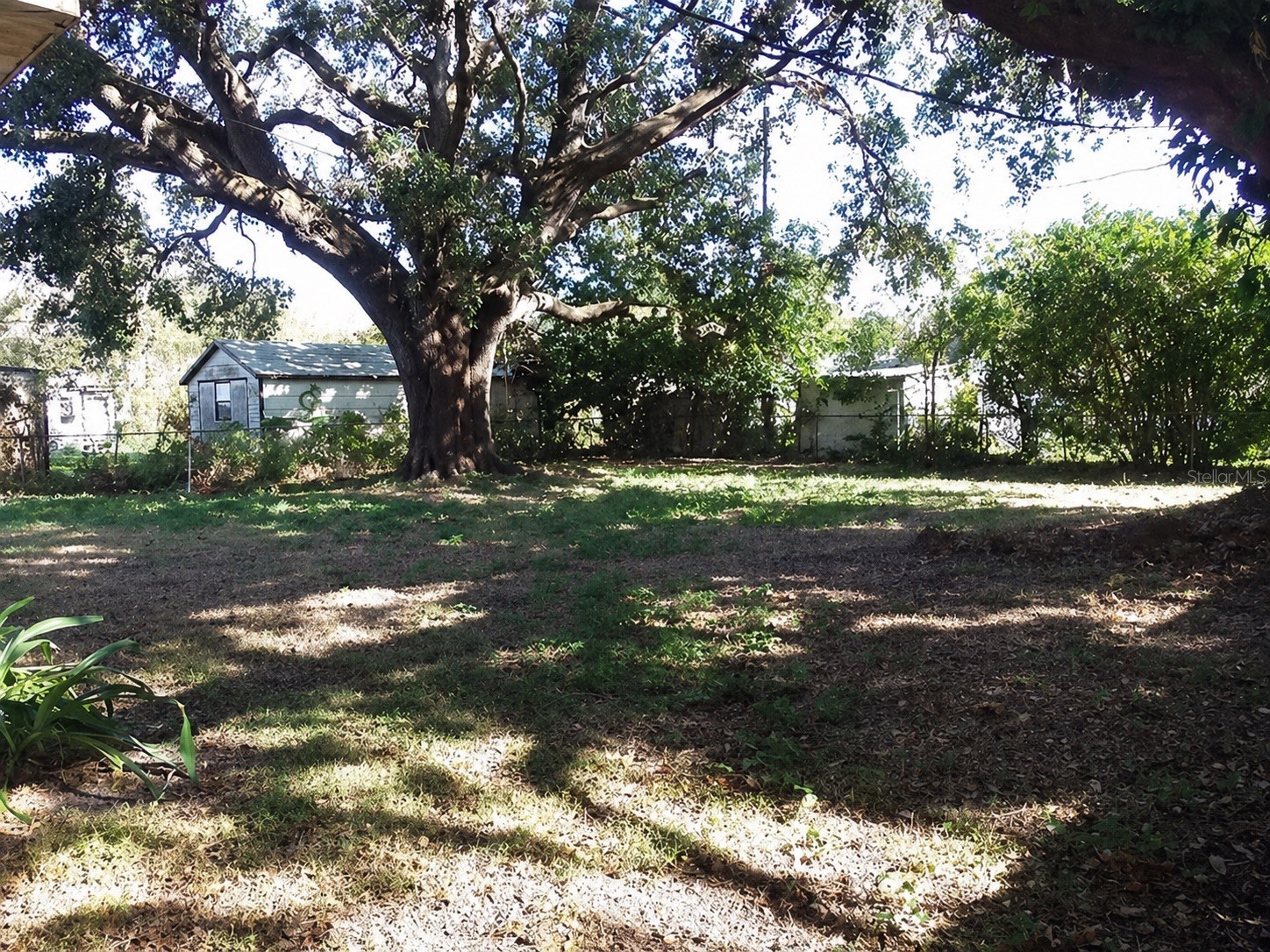 1427 Pleasant Place Lakeland FL 33801 TB8501958 image13