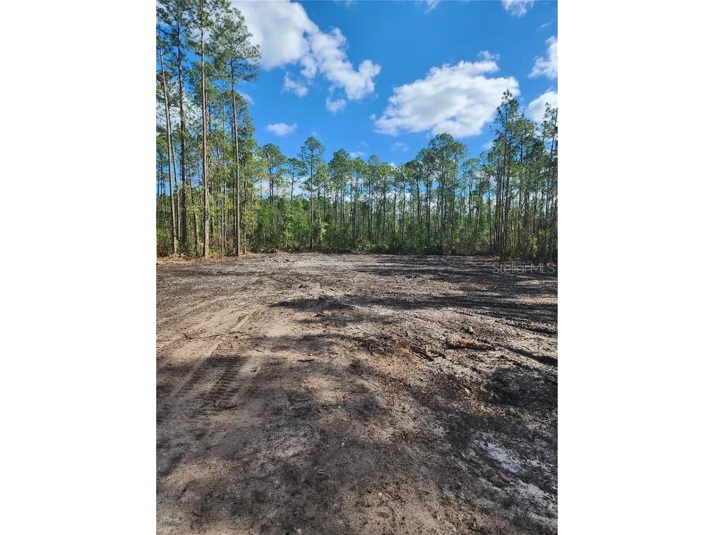 1427 S State Rd 19 Palatka FL 32177 FC289032 image1