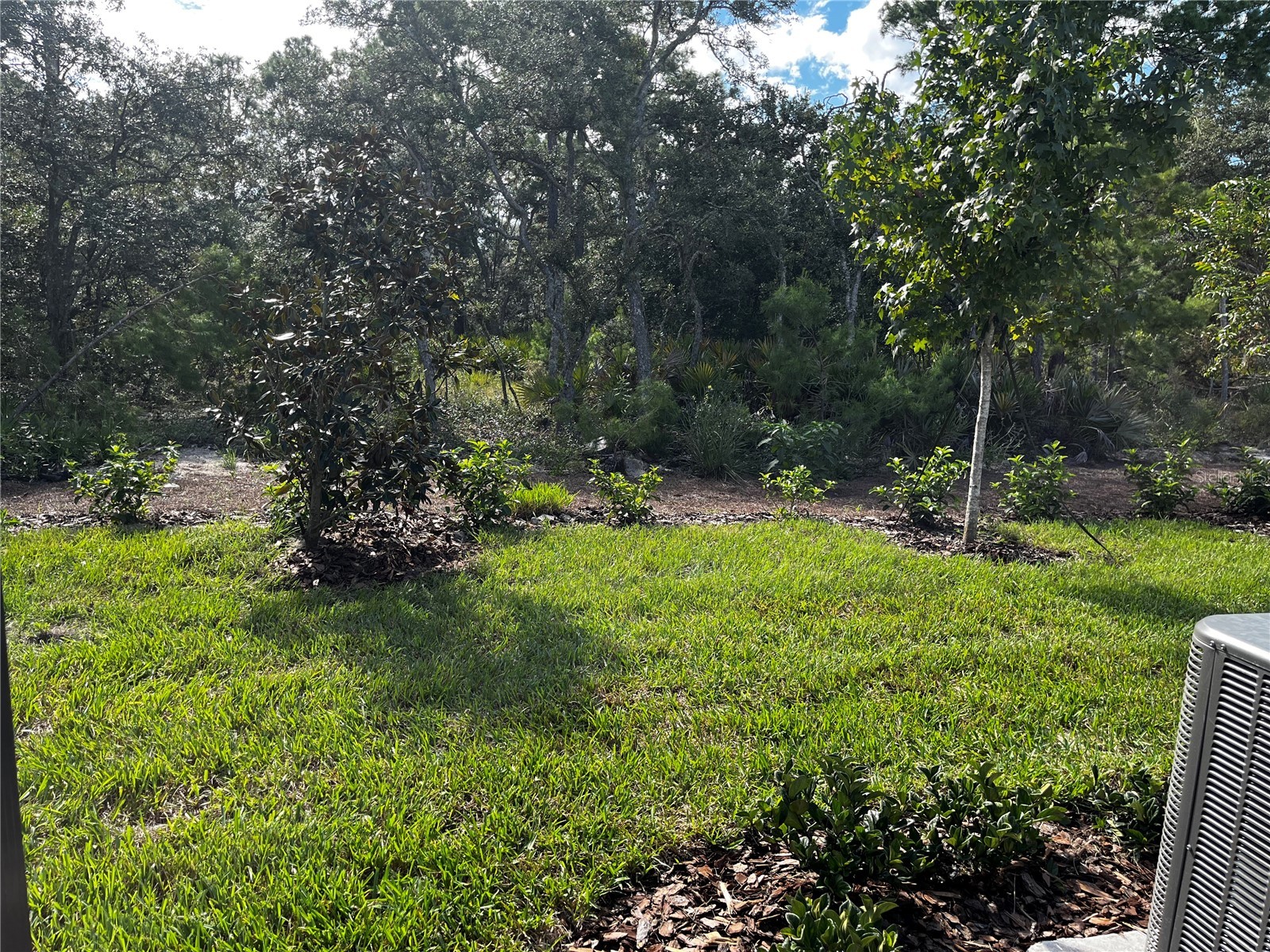 1427 Serendipity Lane Clermont FL 34714 O6409973 image36
