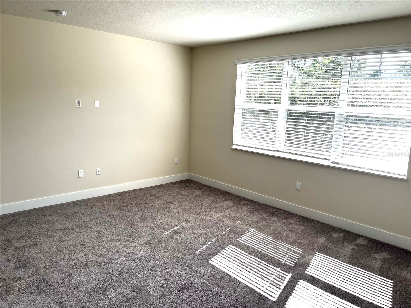 1427 Serendipity Lane Clermont FL 34714 O6409973 image8