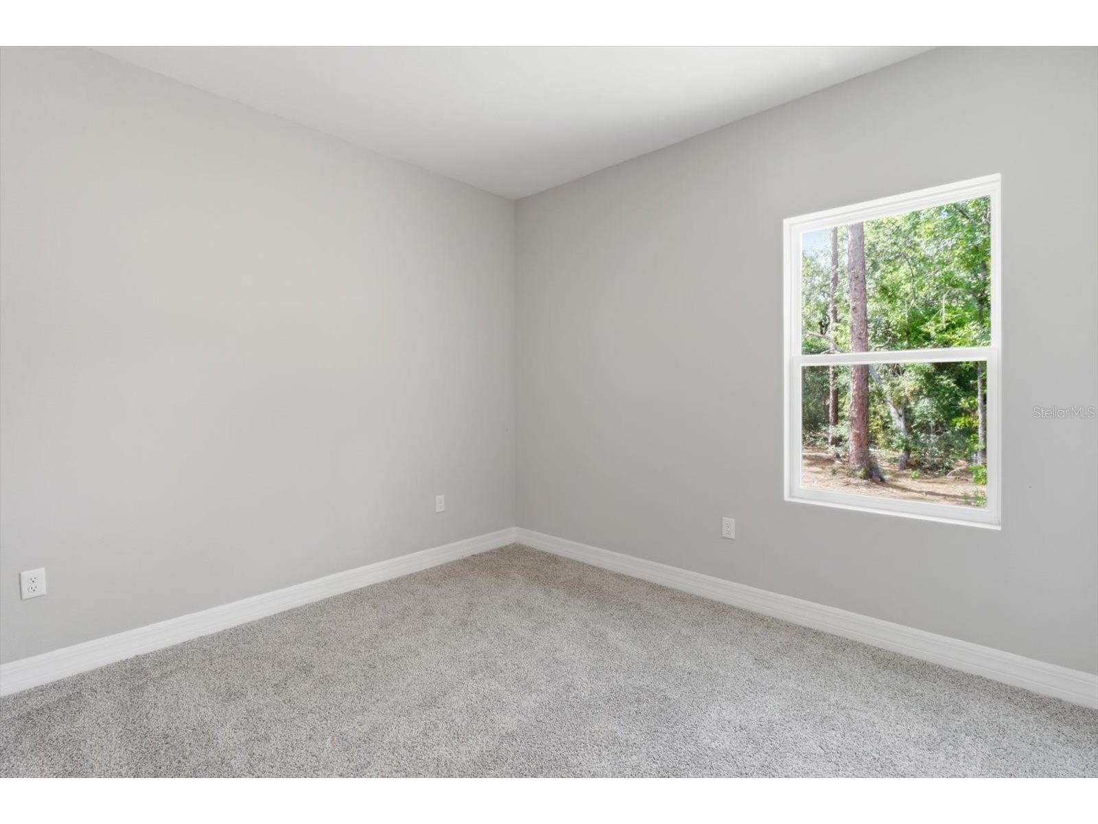 1427 W Mineral Court Hernando FL 34442 OM727694 image32