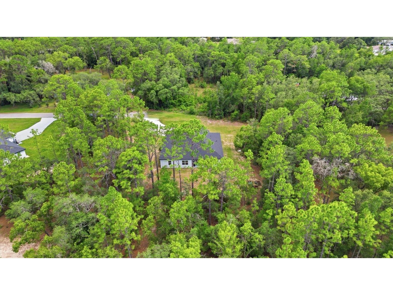 1427 W Mineral Court Hernando FL 34442 OM727694 image49