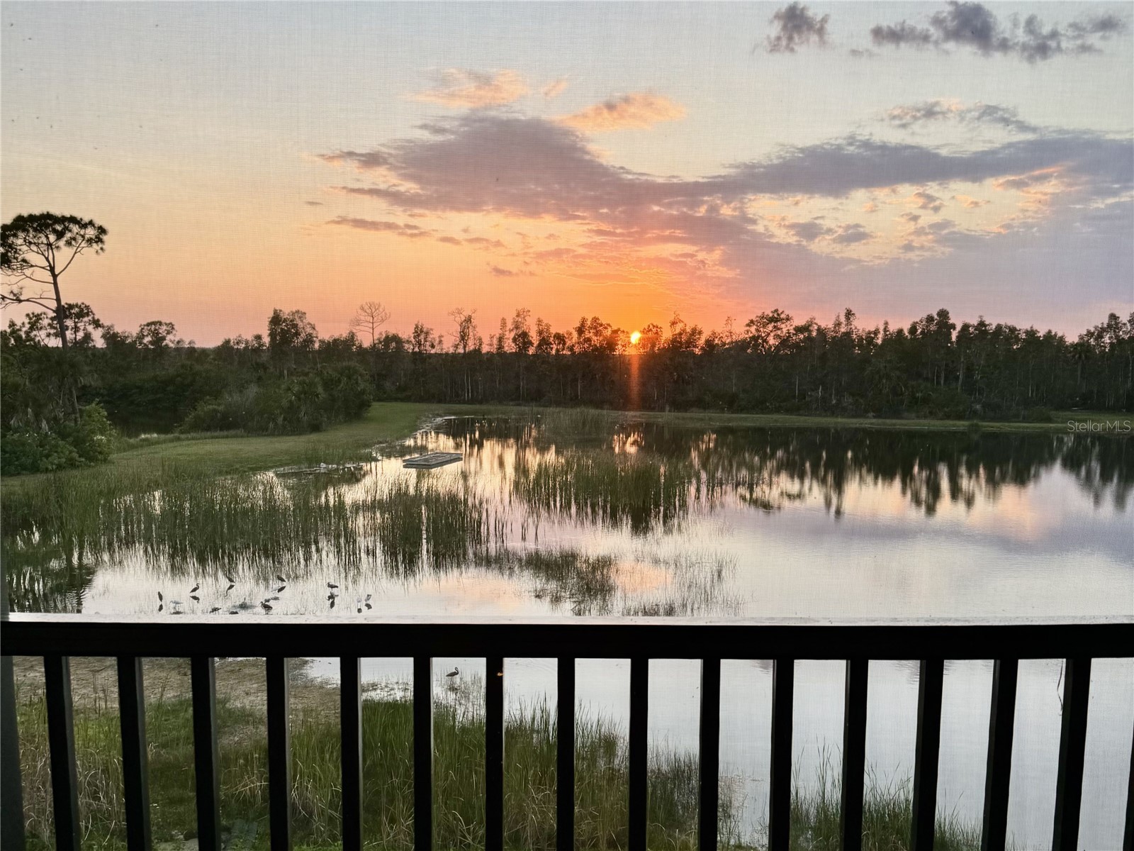 14271 Heritage Landing Boulevard #1525 Punta Gorda FL 33955 C7520265 image20