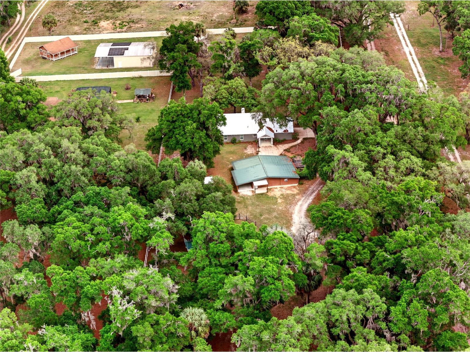 14271 NE 47th Avenue Anthony FL 32617 OM722660 image45