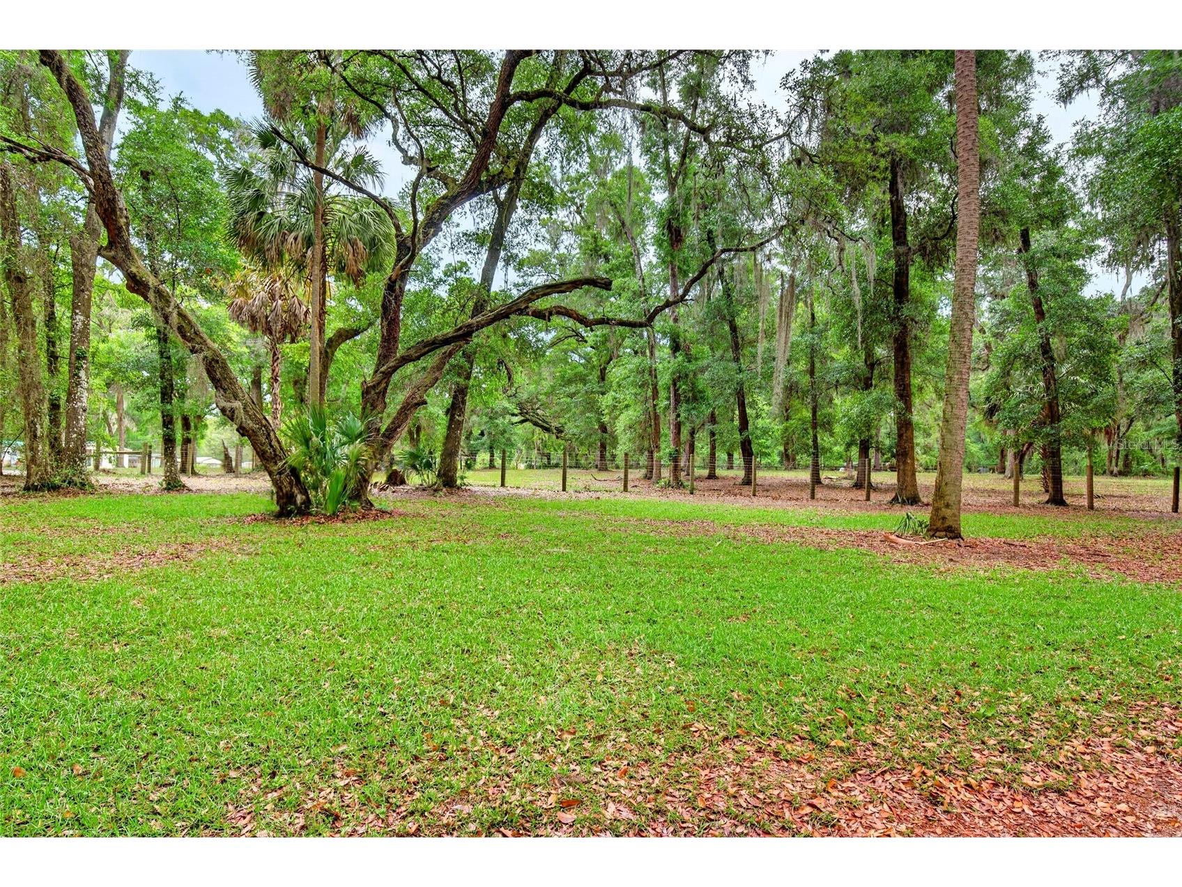 14271 NE 47th Avenue Anthony FL 32617 OM722660 image82