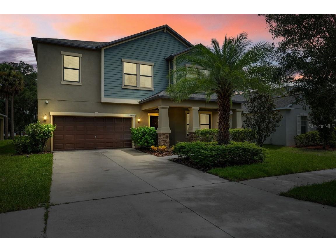 14273 Blue Dasher Drive Riverview FL 33569 T3540961 image1