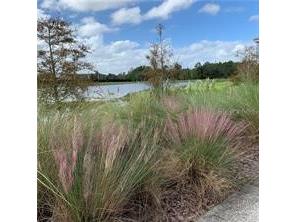 14279 Swanley Street Orlando FL 32832 S5141846 image4