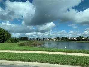 14279 Swanley Street Orlando FL 32832 S5141846 image42