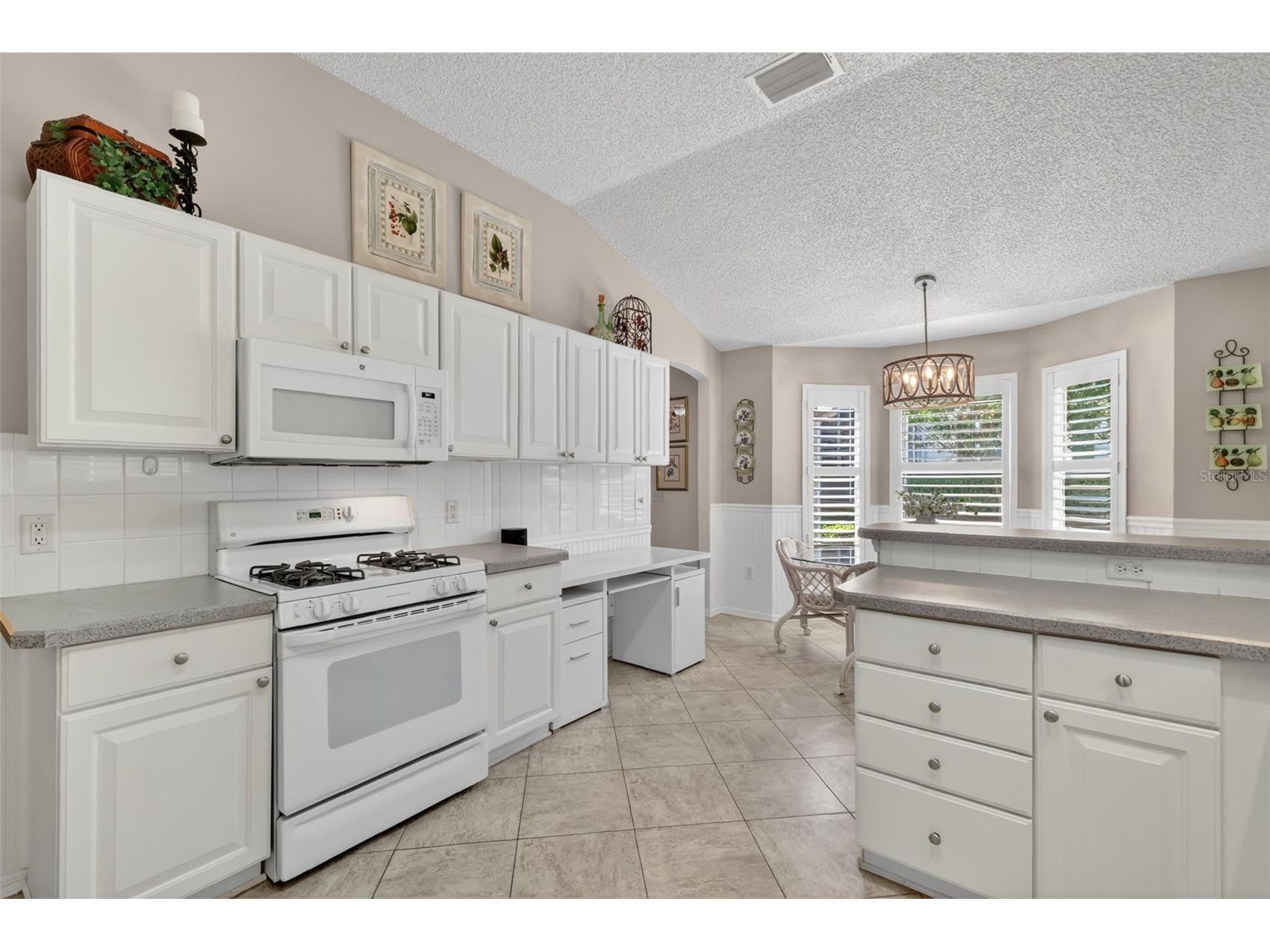 1428 Carrillo Street The Villages FL 32162 G5112416 image4