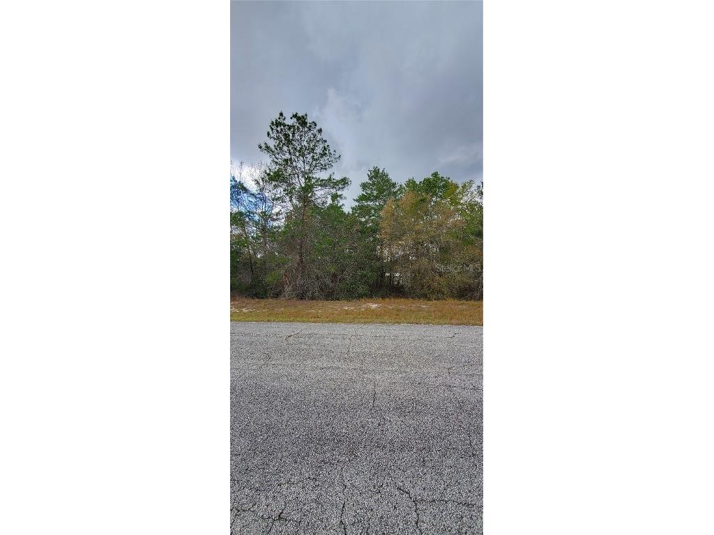 1428 Hillsborough Drive Poinciana FL 34759 O6199976 image1