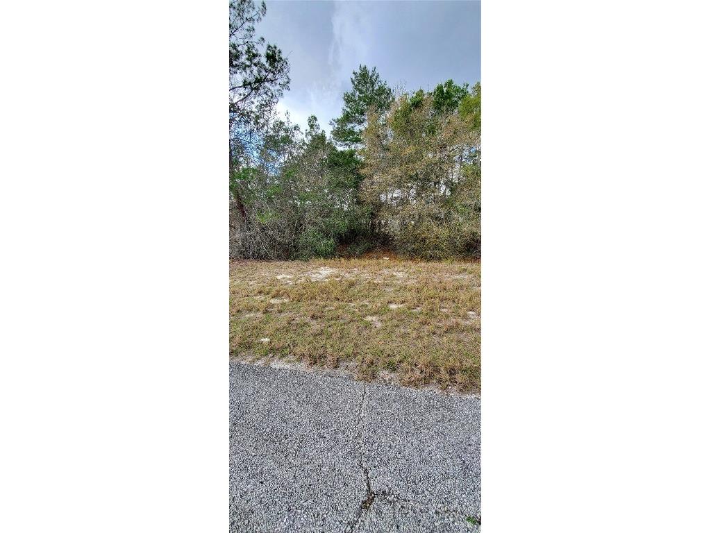 1428 Hillsborough Drive Poinciana FL 34759 O6199976 image2