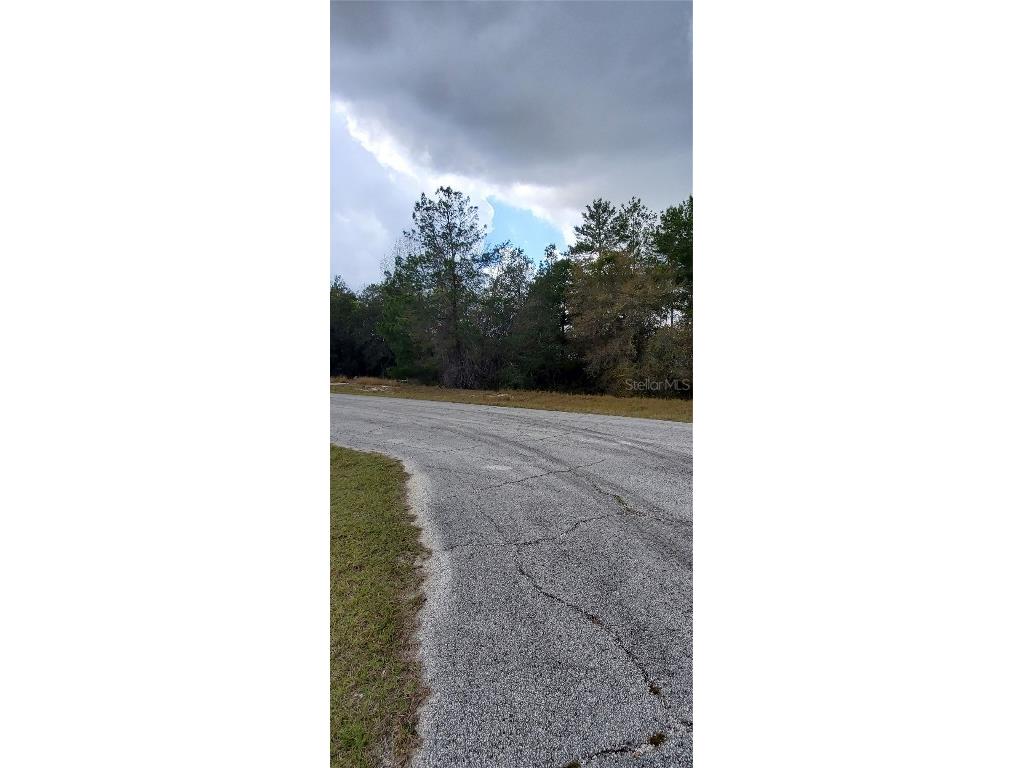 1428 Hillsborough Drive Poinciana FL 34759 O6199976 image3