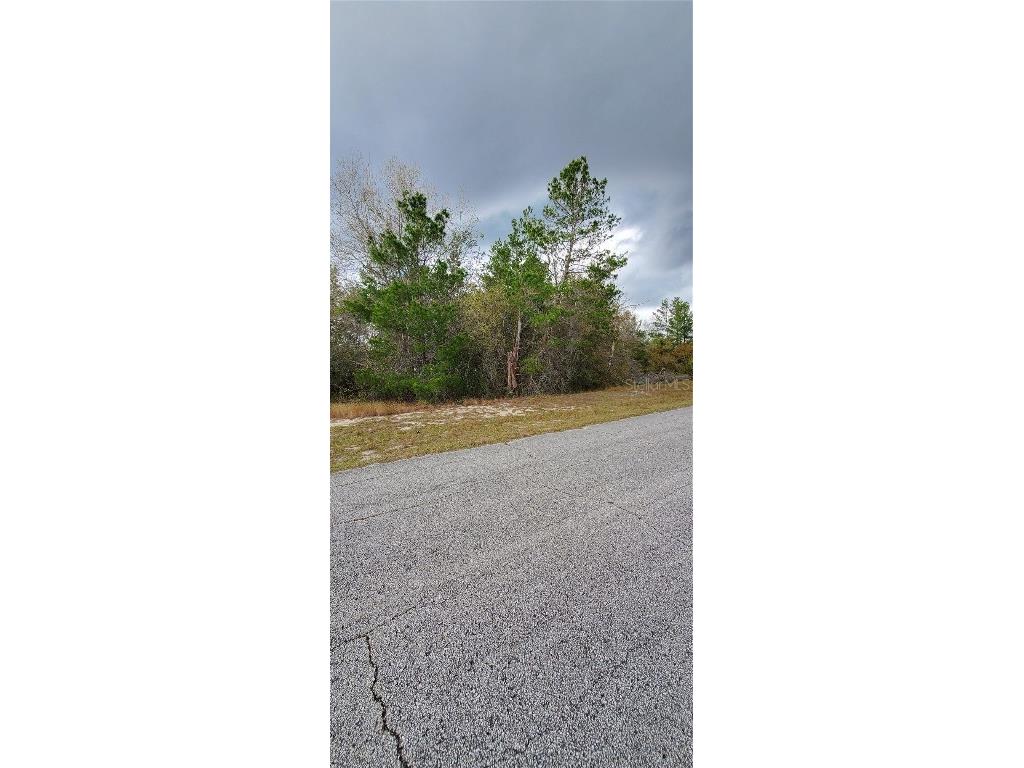 1428 Hillsborough Drive Poinciana FL 34759 O6199976 image5