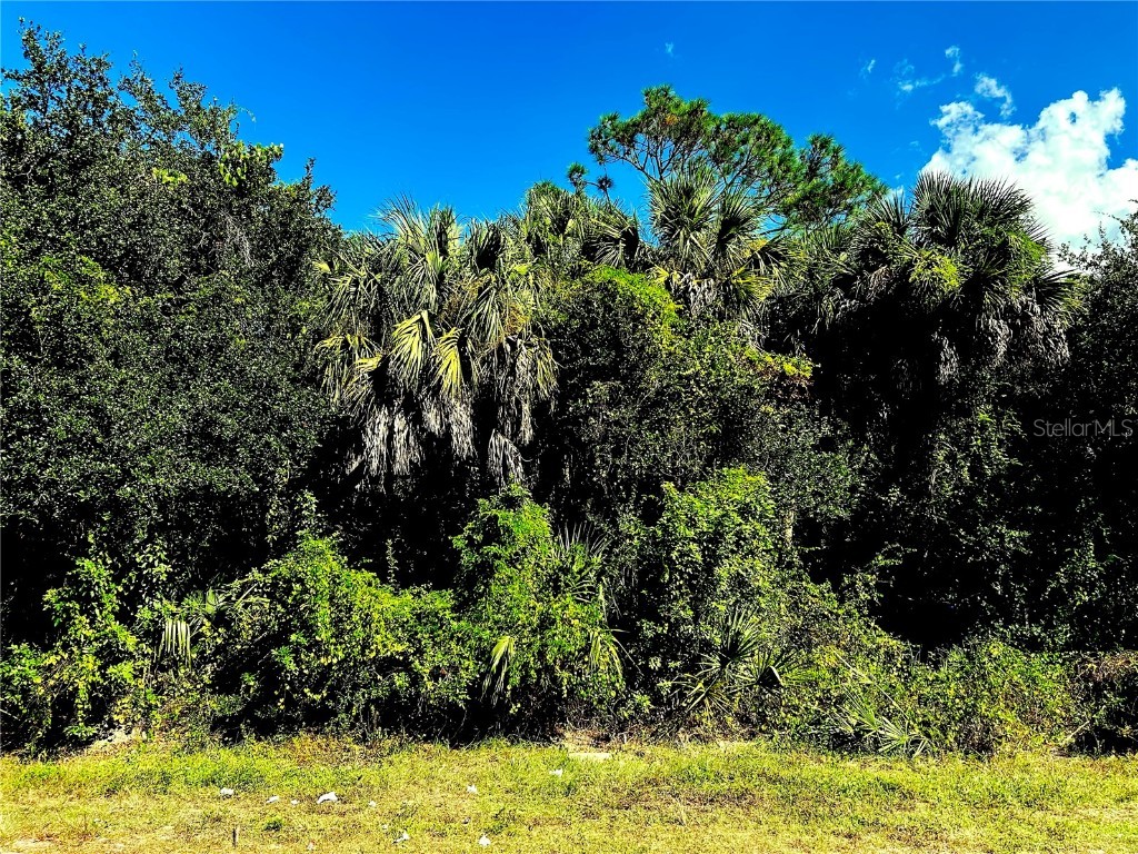 1428 Kenesaw Street Port Charlotte FL 33948 C7516707 image3