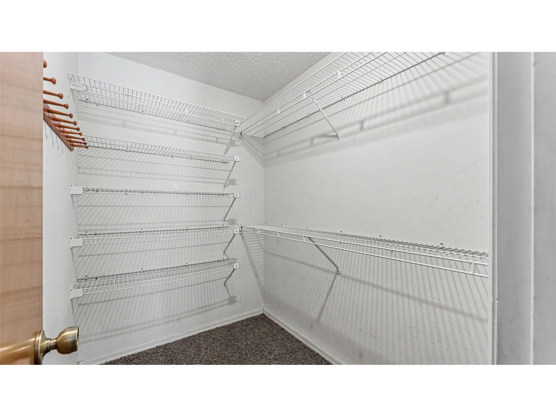 1428 N Timberidge Loop Lakeland FL 33809 L4962686 image43