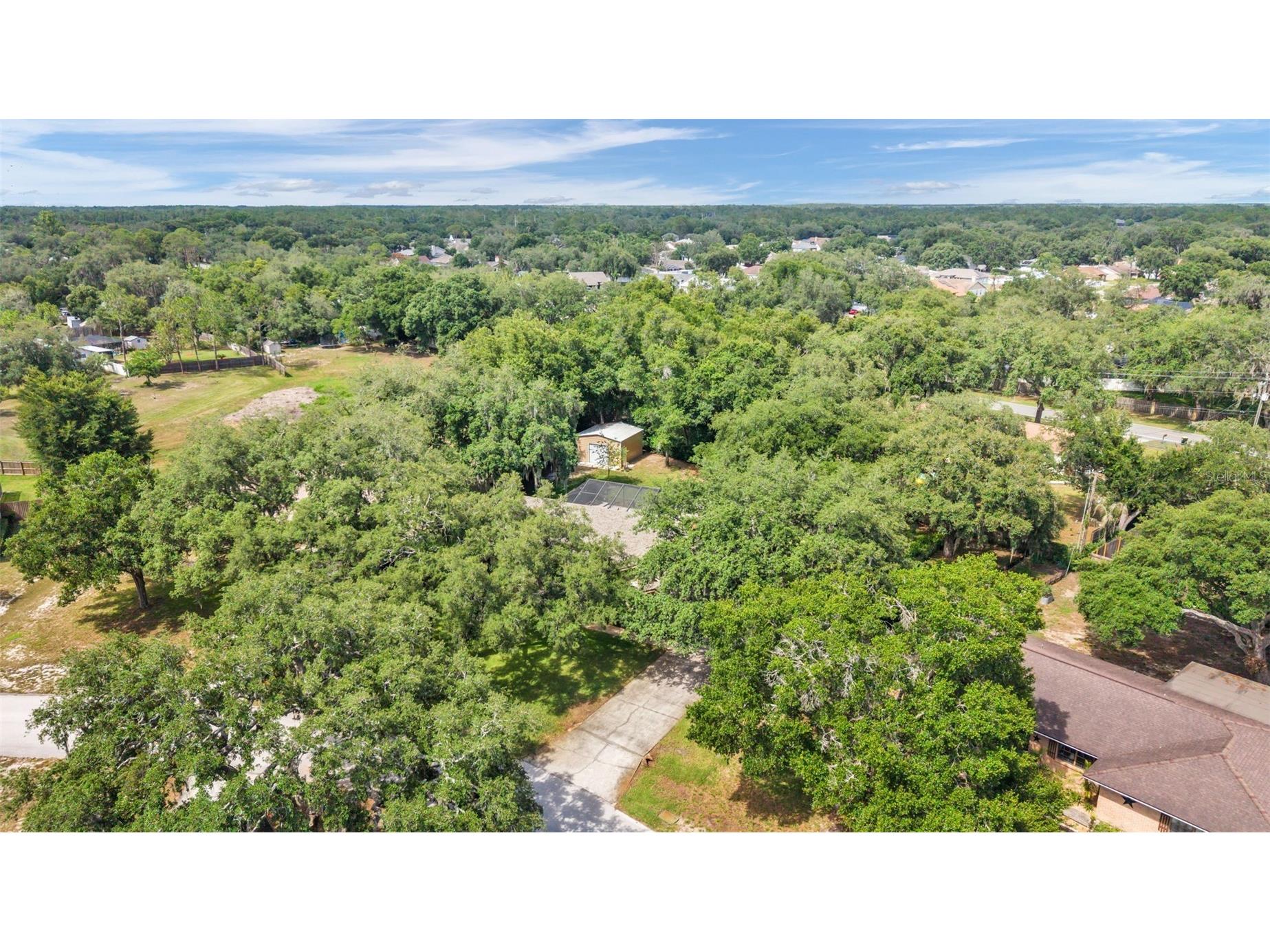 1428 N Timberidge Loop Lakeland FL 33809 L4962686 image58