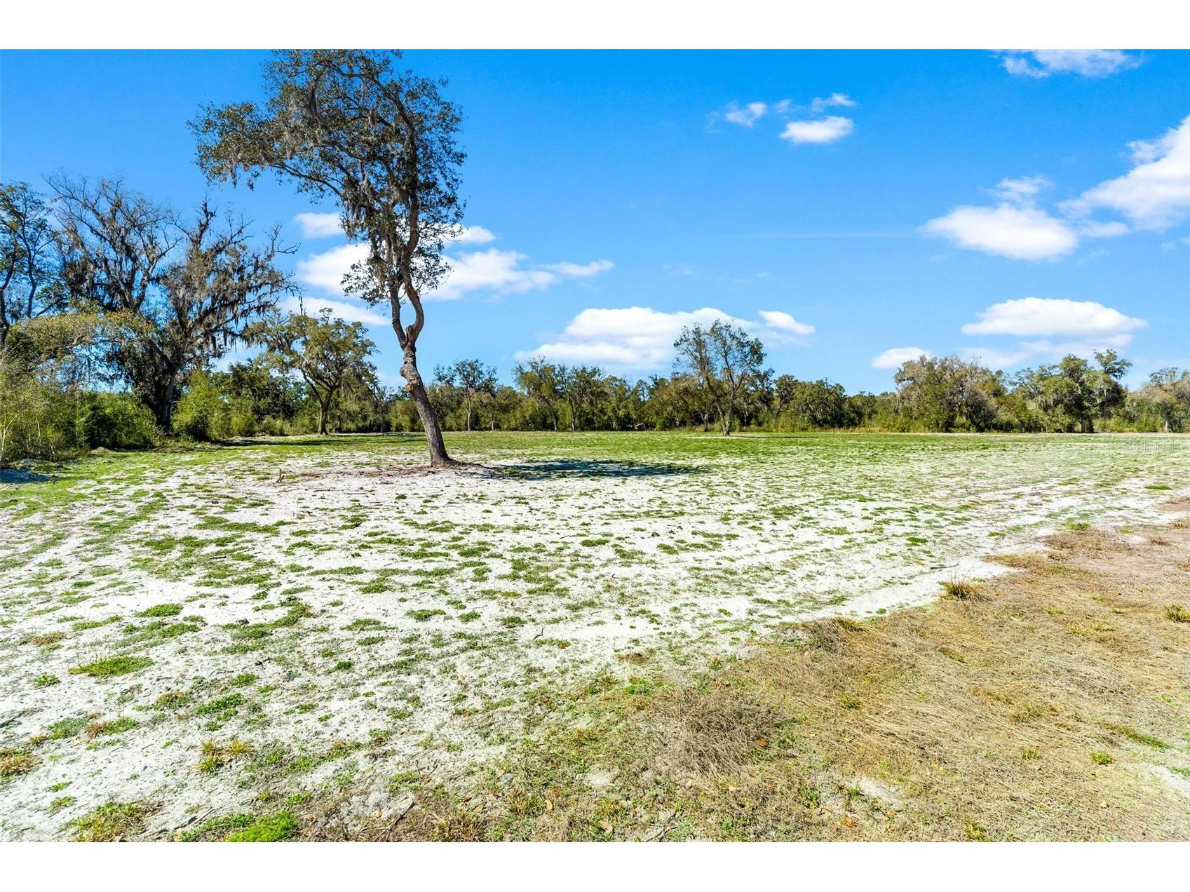 1428 Oxford Preserve Trail Oxford FL 34484 G5108647 image2