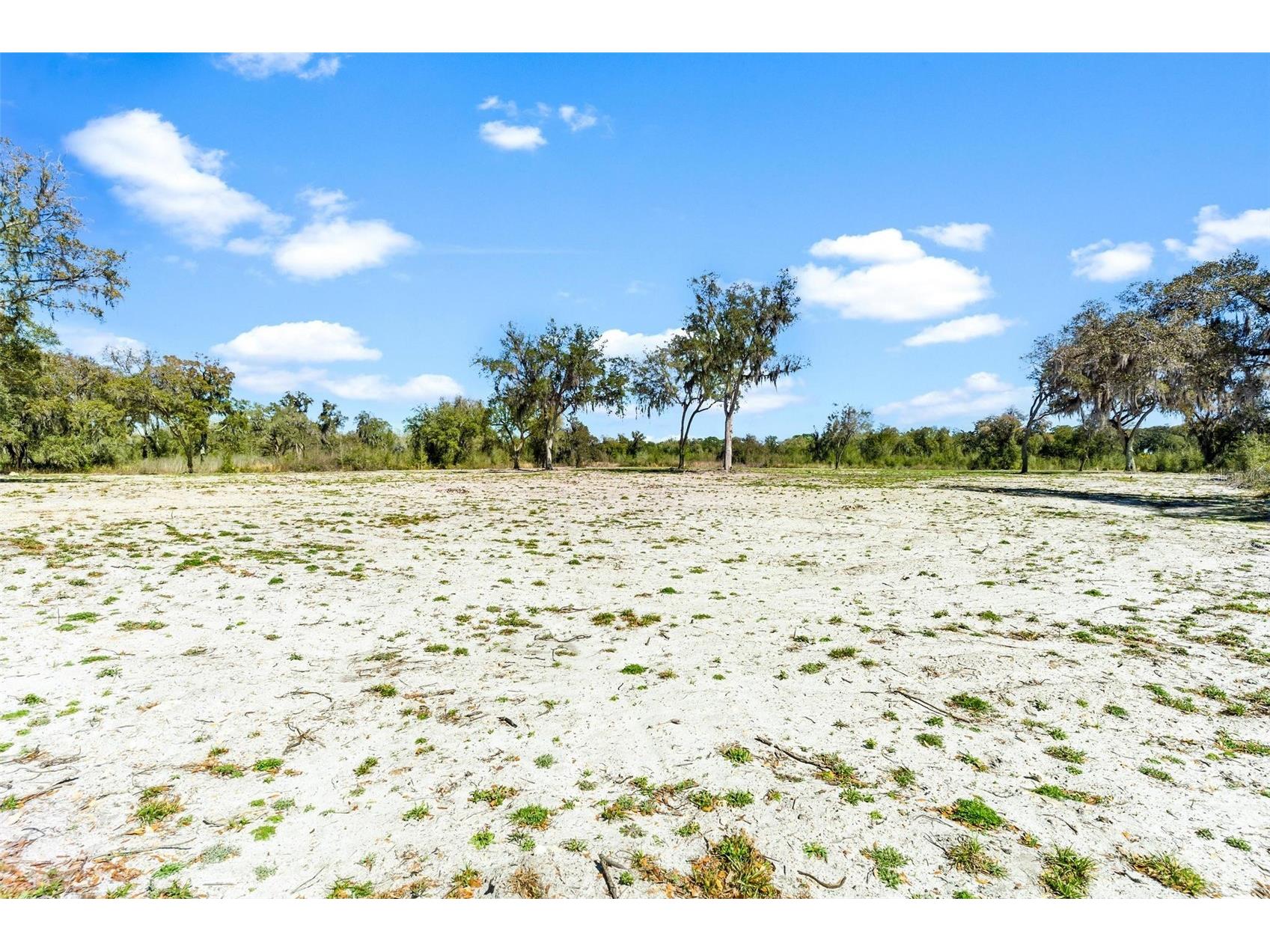 1428 Oxford Preserve Trail Oxford FL 34484 G5108647 image3