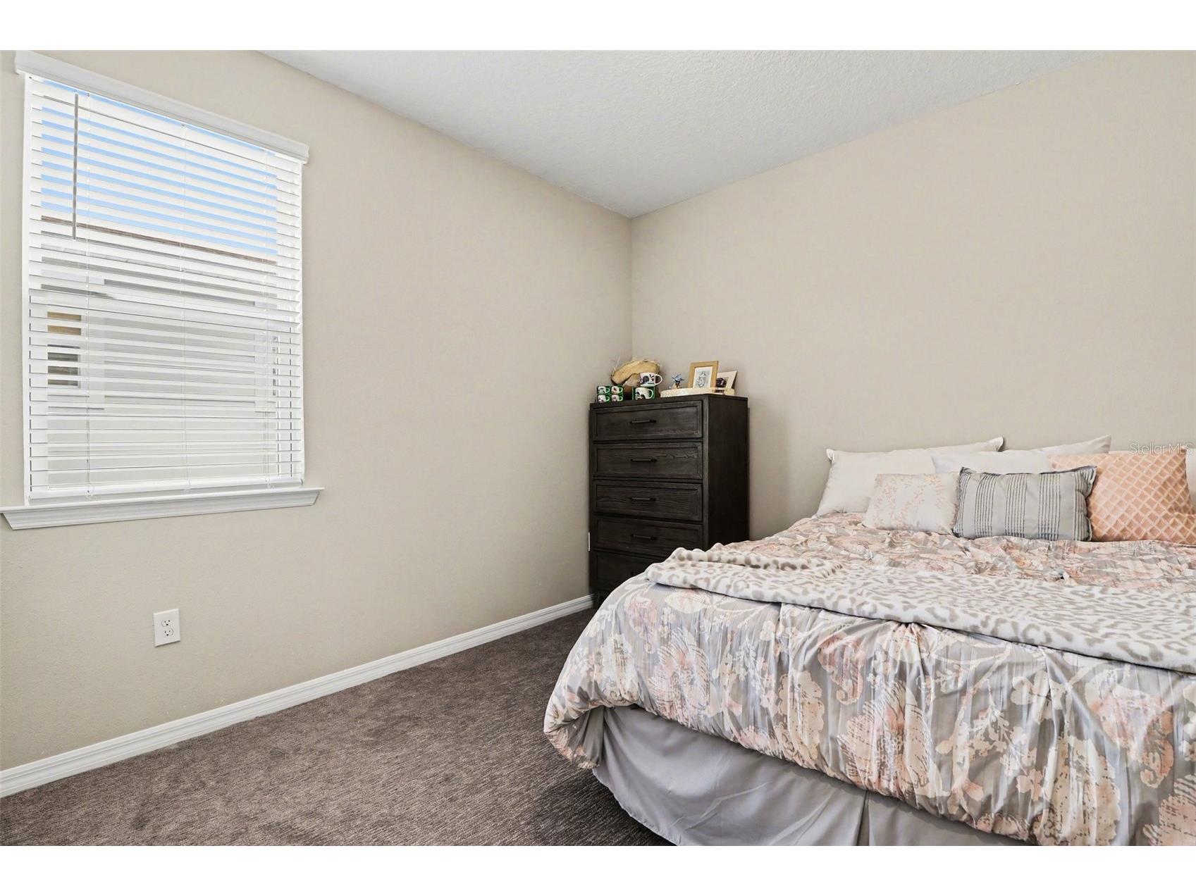 14280 Braemar Street Winter Garden FL 34787 TB8500322 image17