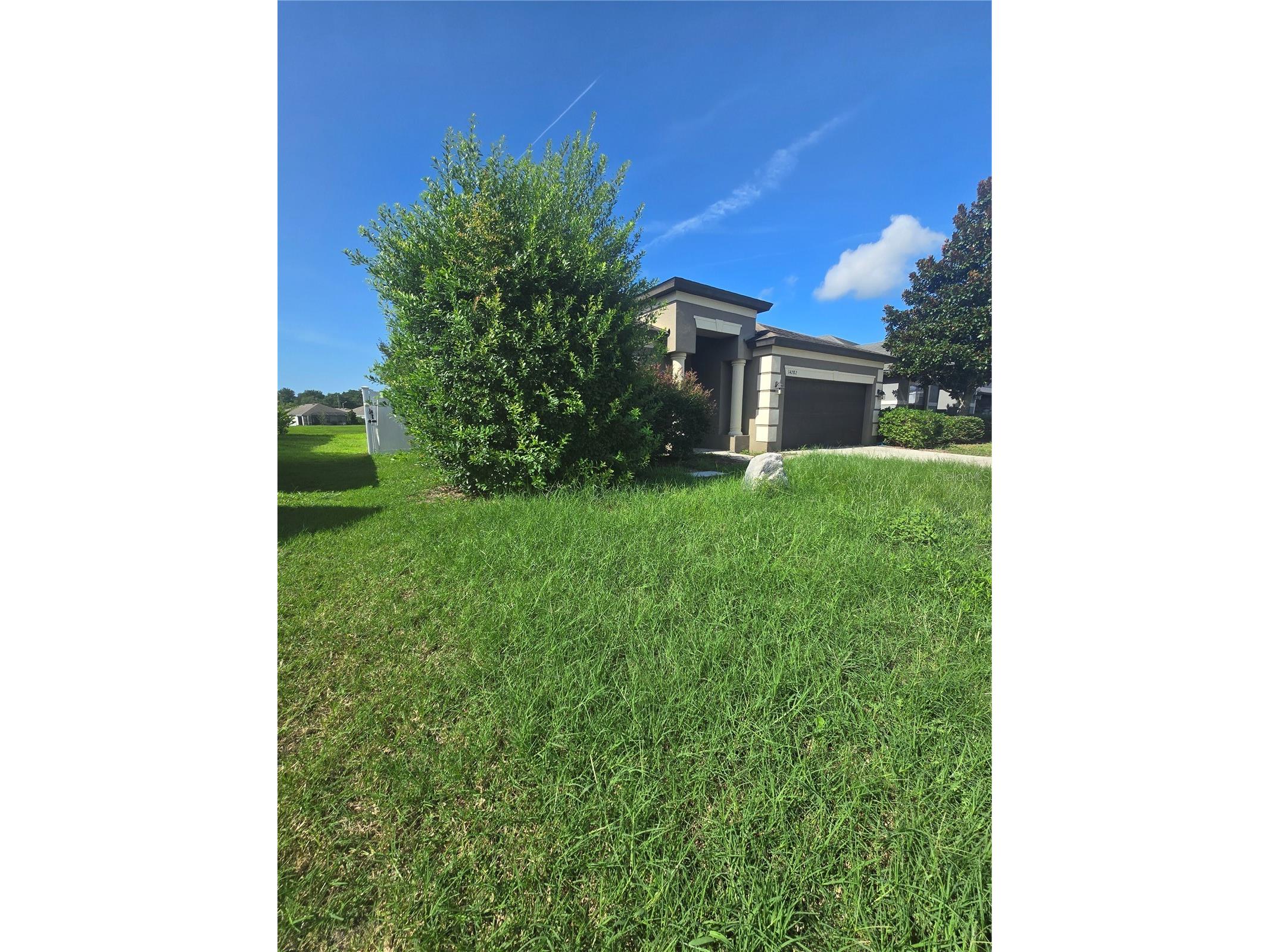 14282 Saltby Place Spring Hill FL 34609 W7887939 image3