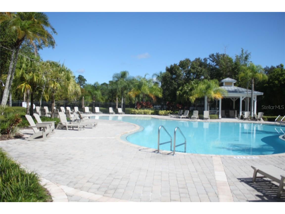 14284 Desert Haven Street #806 Windermere FL 34786 O6357673 image17