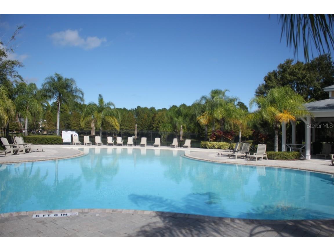 14284 Desert Haven Street #806 Windermere FL 34786 O6357673 image18