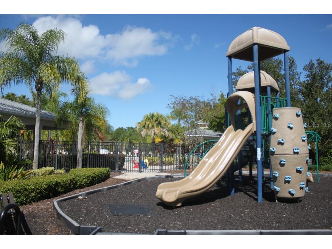 14284 Desert Haven Street #806 Windermere FL 34786 O6357673 image21