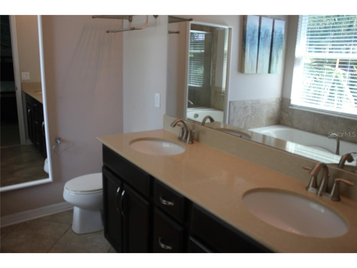 14284 Desert Haven Street #806 Windermere FL 34786 O6357673 image9