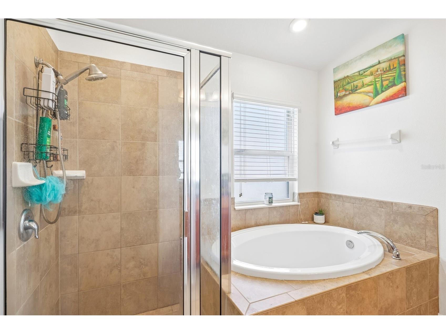 14284 Finsbury Drive Spring Hill FL 34609 TB8510800 image16