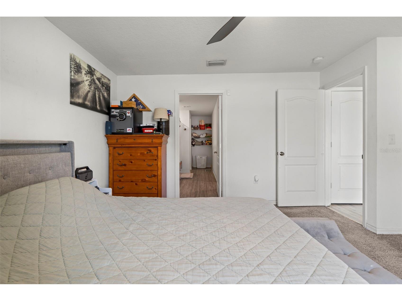 14284 Lemon Yellow Tree Lane Brooksville FL 34613 TB8514958 image20
