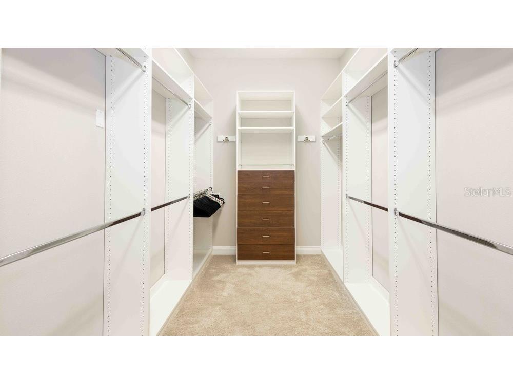 14288 Swiss Bridge Drive Riverview FL 33579 TB8431475 image10