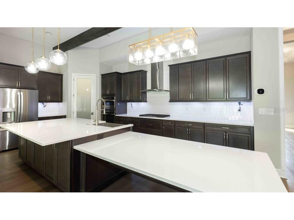 14288 Swiss Bridge Drive Riverview FL 33579 TB8431475 image4