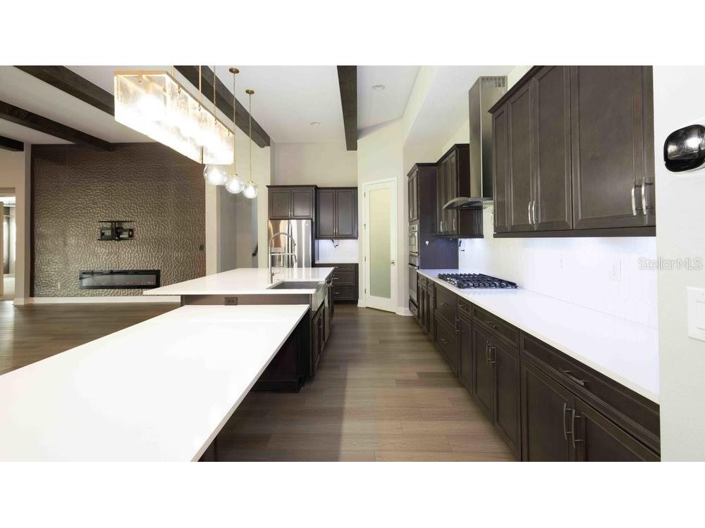 14288 Swiss Bridge Drive Riverview FL 33579 TB8431475 image5