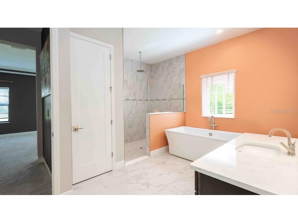 14288 Swiss Bridge Drive Riverview FL 33579 TB8431475 image8