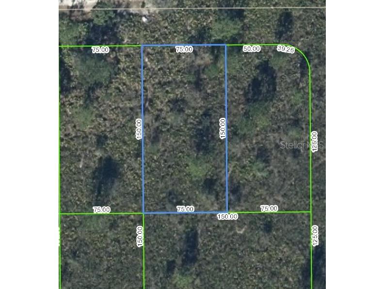 1429 Bittersweet Street Lake Placid FL 33852 P4927959 image1