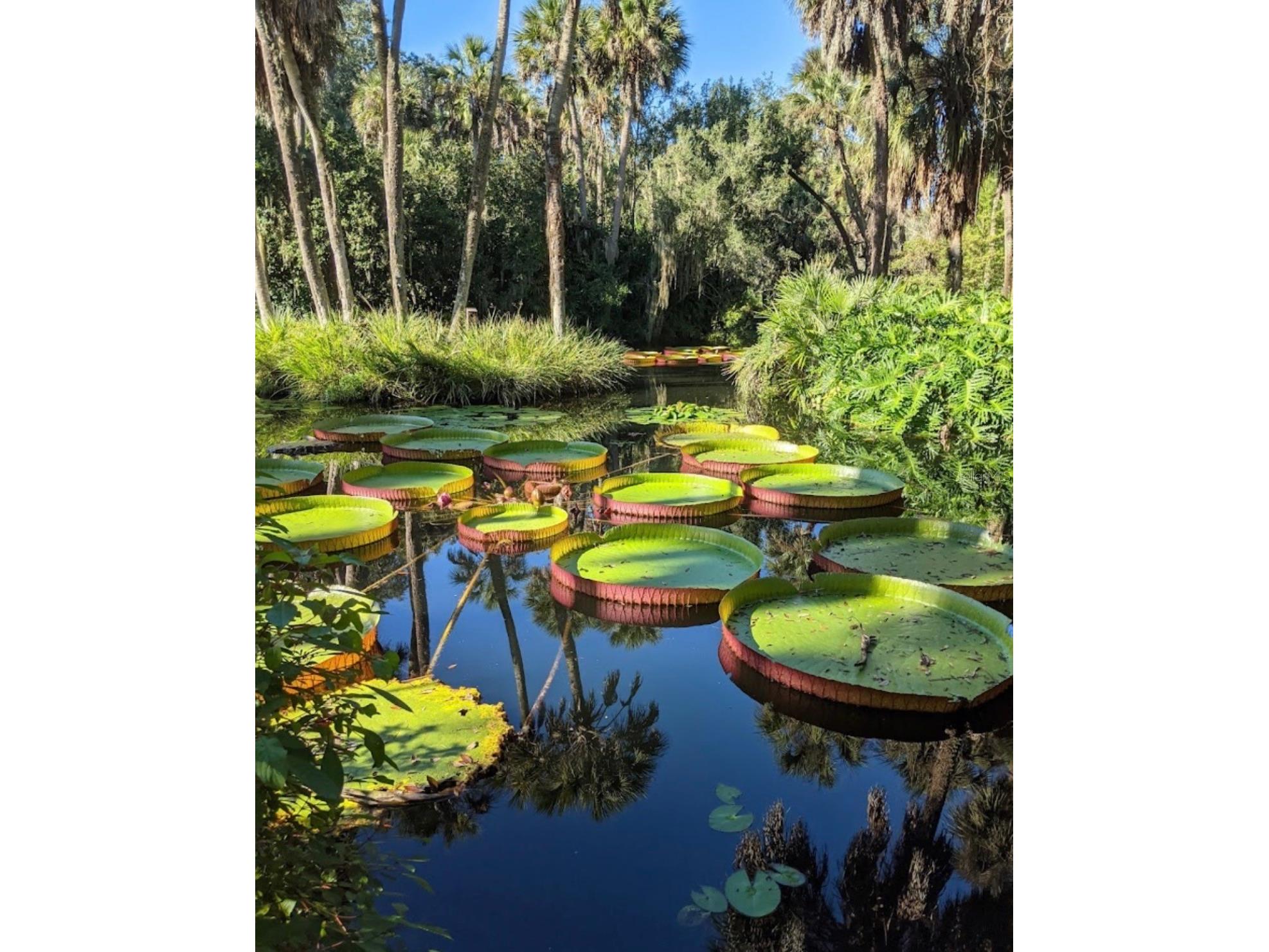 1429 Covington Court Lake Wales FL 33853 O6386550 image26