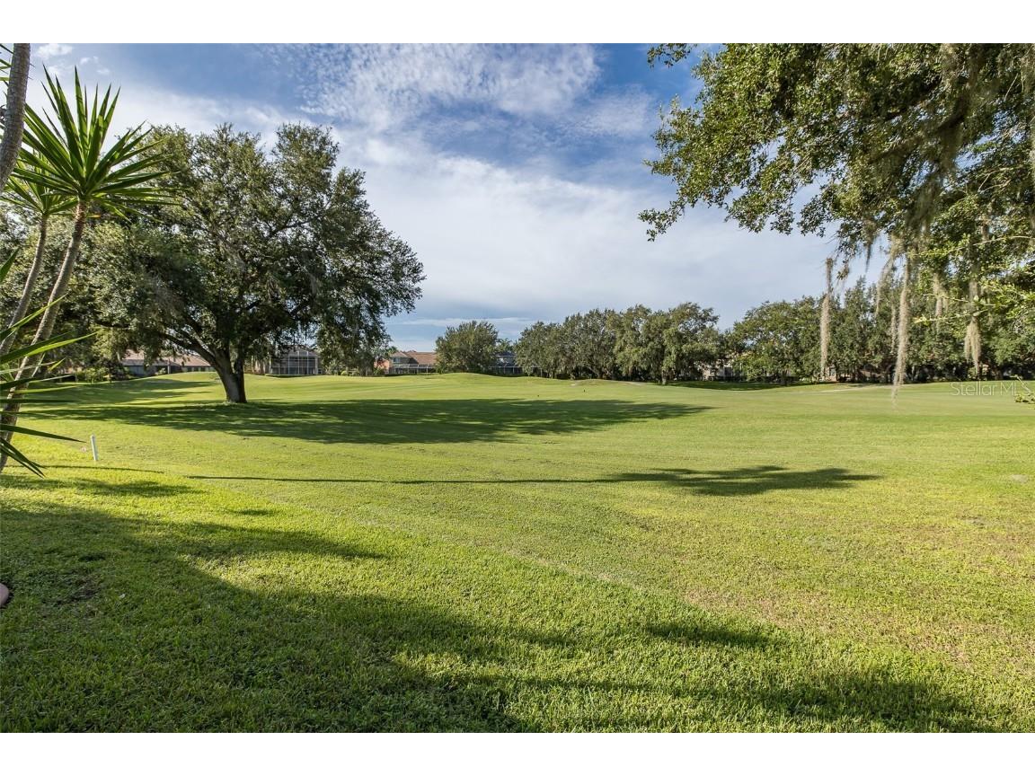 1429 El Pardo Drive Trinity FL 34655 W7879594 image60