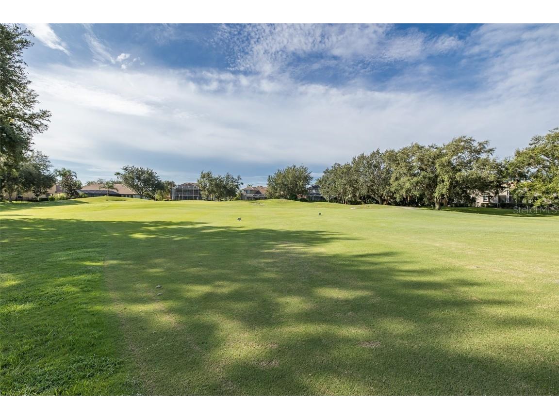 1429 El Pardo Drive Trinity FL 34655 W7879594 image64