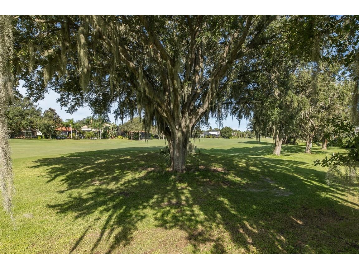 1429 El Pardo Drive Trinity FL 34655 W7879594 image68