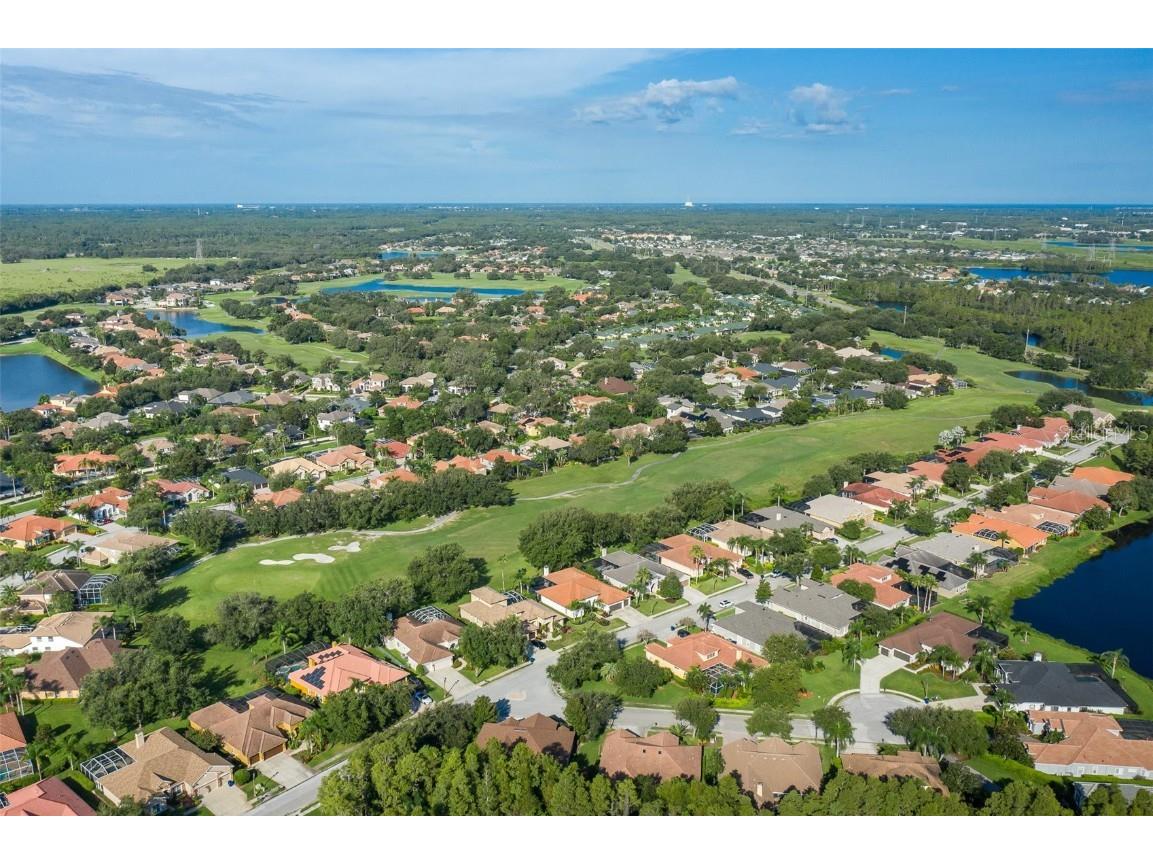 1429 El Pardo Drive Trinity FL 34655 W7879594 image79