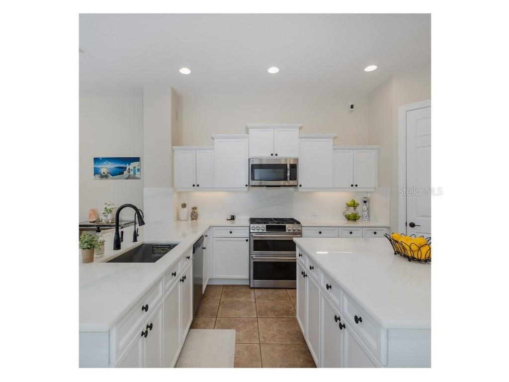 1429 El Pardo Drive Trinity FL 34655 W7879594 image9