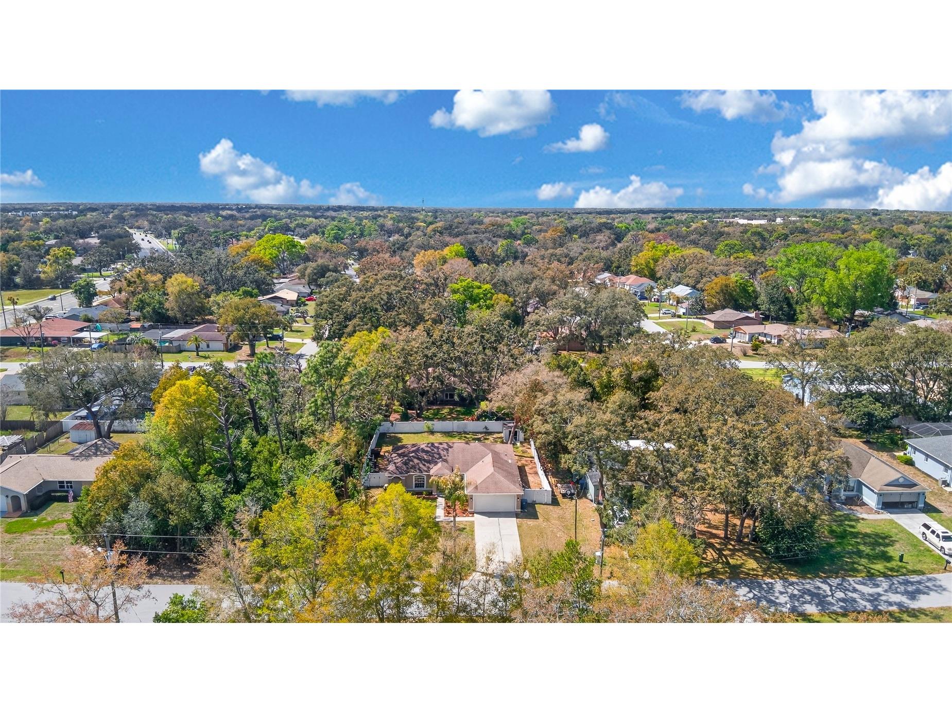 1429 Laredo Avenue Spring Hill FL 34608 TB8486215 image27