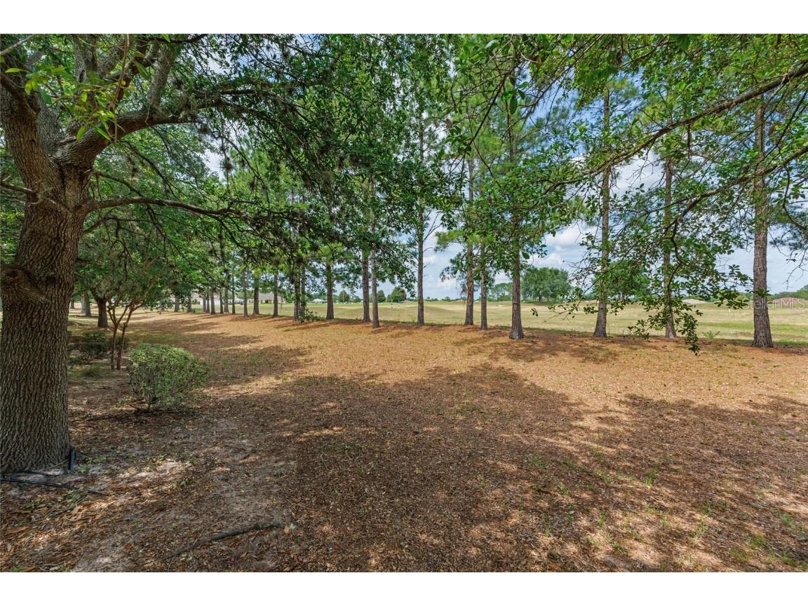 1429 SW 160th Lane Ocala FL 34473 OM702673 image6