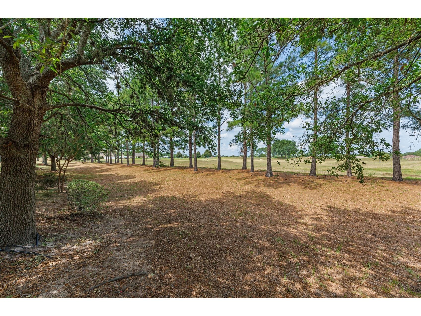 1429 SW 160th Lane Ocala FL 34473 OM721303 image6