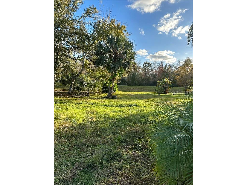 1429 Swift Court Poinciana FL 34759 O6166322 image1