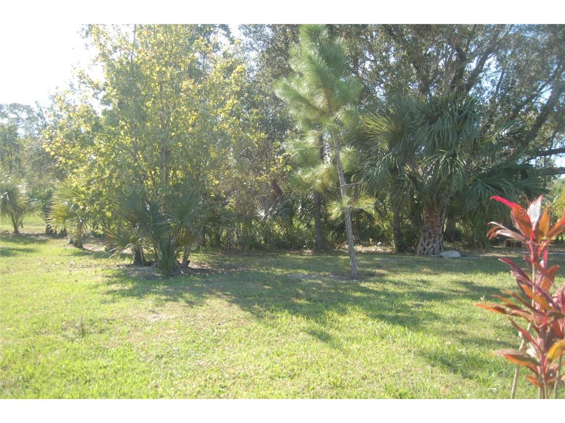 1429 Swift Court Poinciana FL 34759 S5077310 image1