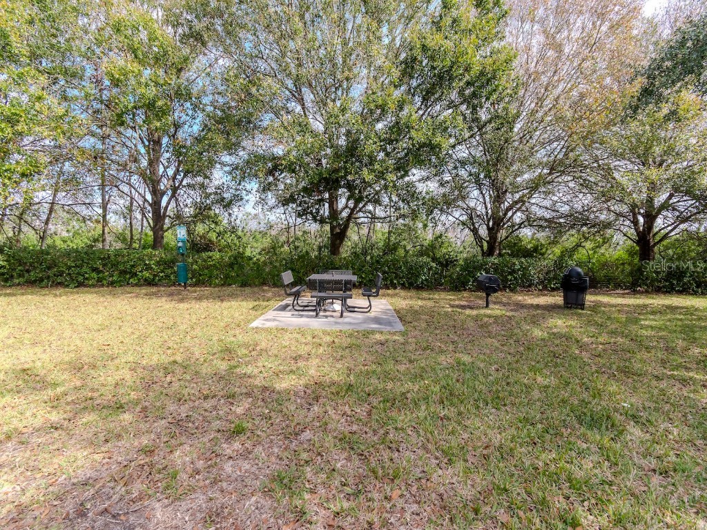 1429 Villa Capri Circle #306 Odessa FL 33556 TB8344676 image29