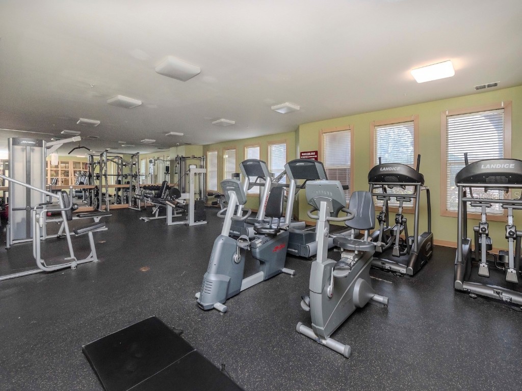 1429 Villa Capri Circle #306 Odessa FL 33556 TB8344676 image36